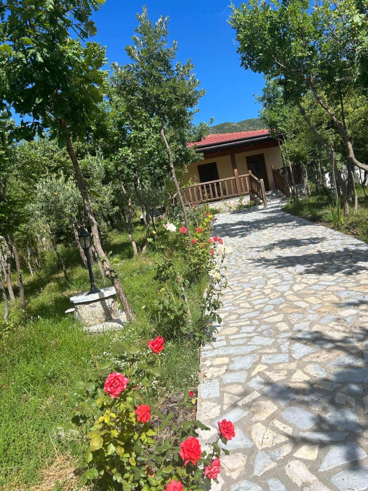 Hani I Leks Agroturizem Lezhë Exterior foto